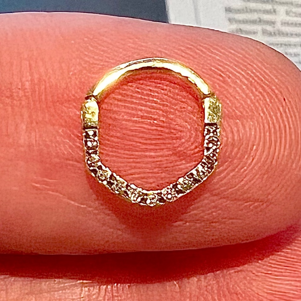 Joy Wonder Ombré’ by Pupil Hall 14k and diamond Daith or septum clicker